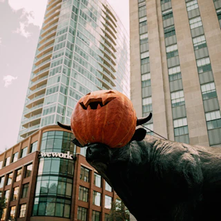 Major the Bull with a giant pumpkin Jack-o-lantern provided by Perkin's Orchard.