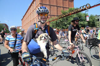 A group of people on bicycles. Foreground: a man wearing a helmet and sunglasses smiles at the camera with a dog in a bag.