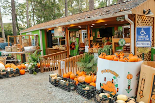 Pumpkins and other produce items sit in front of the shop front of Perkins Orchard in Durham, NC.