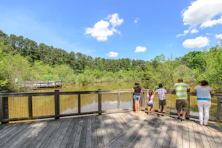 A group of children and adults hang out on the boardwalk at the Museum of Life and Science in Durham.
