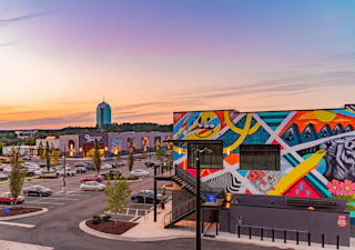 Buildings covered in colorful murals with a sunset in the background.