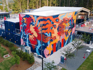 A beautiful mural stretches around the side of Boxyard RTP in Durham, NC.
